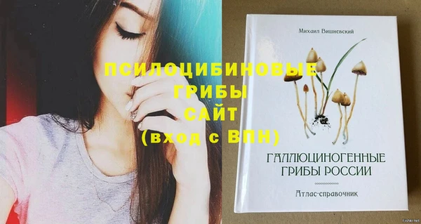наркотики Абаза