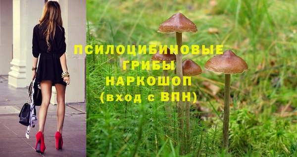 винт Алексин